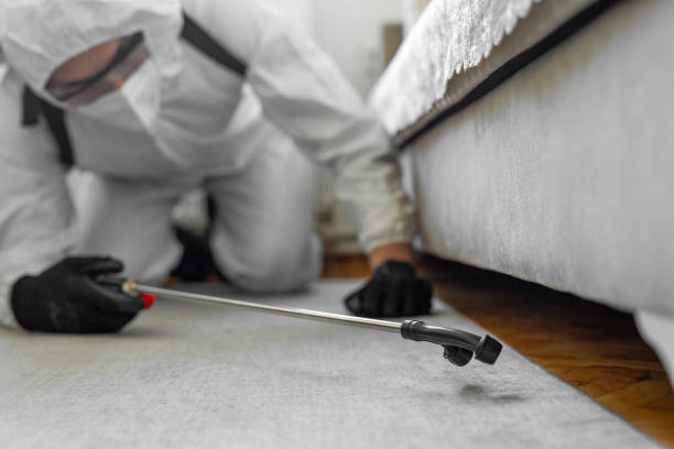 Professional Termite Control technician working in West Hempstead, NY