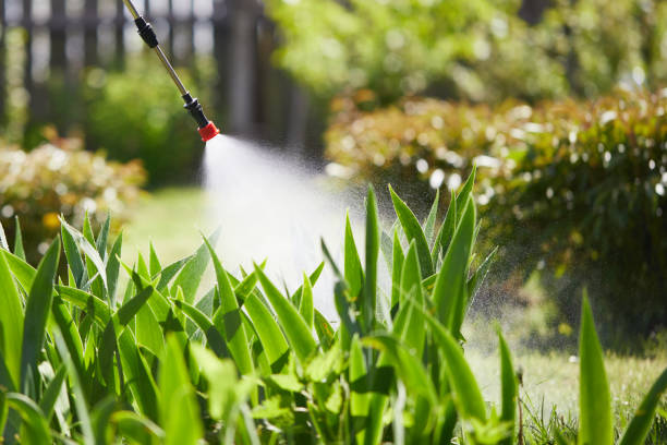 24/7 Emergency Termite Control experts in West Hempstead, NY