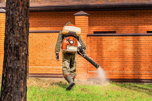 Trusted Cockroach Control service in West Hempstead, NY - Nex Pest Control